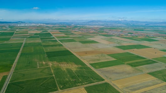 This Land Is (Not) Your Land: The Effort to Divest Foreign State Ownership of American Land